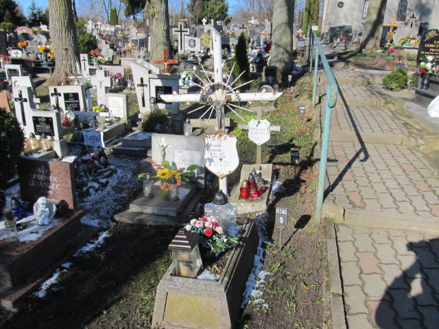 Grób Arnold Jasiński