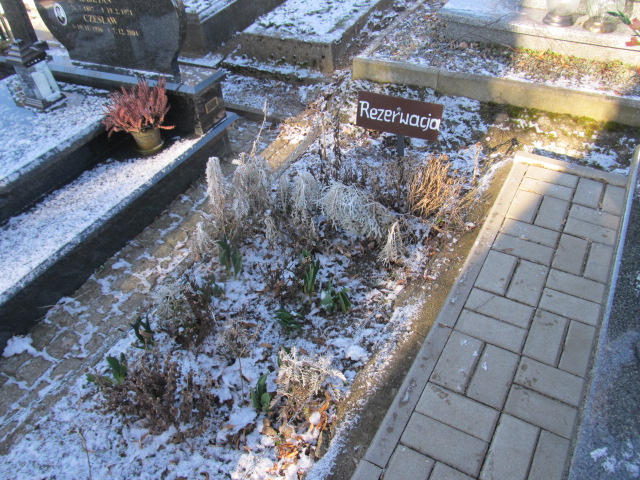 Grób Ireneusz Lampkowski